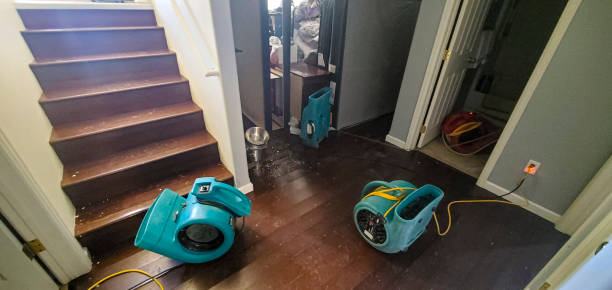 Best Fire Damage Restoration  in Point Marion, PA