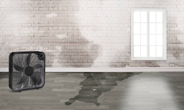 Best 24/7 water damage repair  in Point Marion, PA