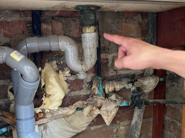 Best Sewage cleanup and water damage restoration  in Point Marion, PA