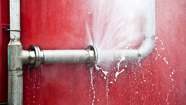Best 24-hour water damage restoration  in Point Marion, PA