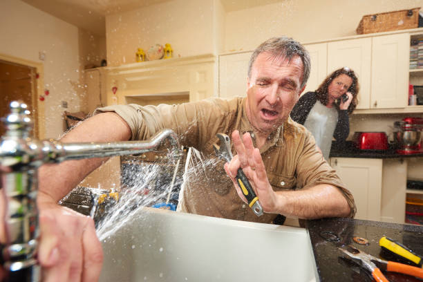 Best Carpet water damage restoration  in Point Marion, PA